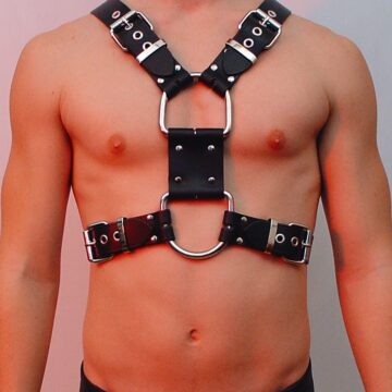 Gladiator Harness