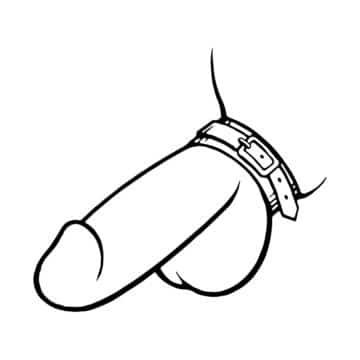 Cock Strap Buckle Up