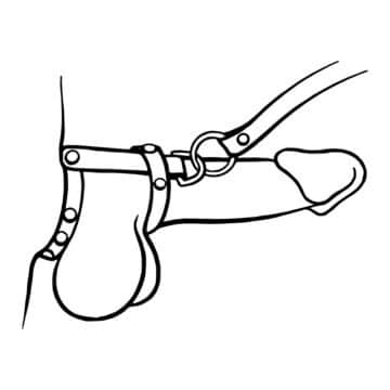 Cock Strap and Leash