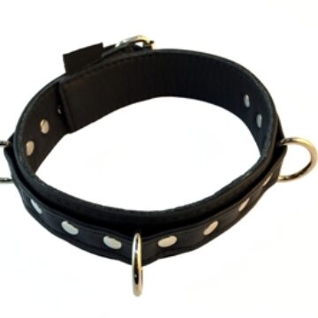3 D Ring Thin Leather Collar