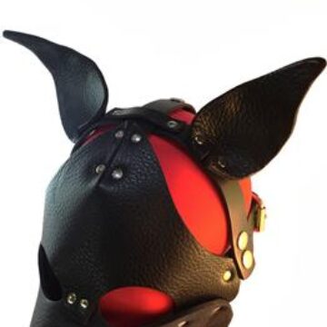 Puppy Head Harness - Garment Leather