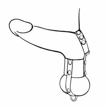 Cock Strap The Ultimate