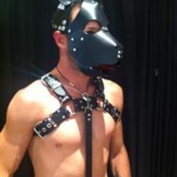Puppy Head Harness - Belt Leather