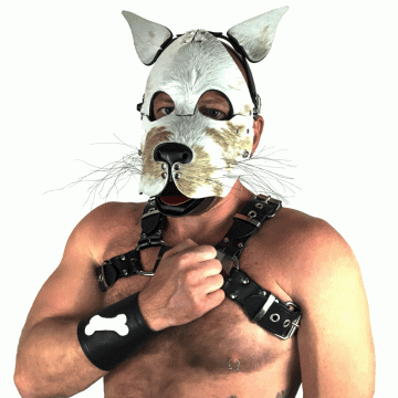 Puppy Head Harness - Hound