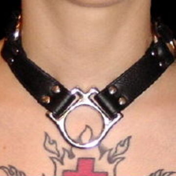 Collar - Harness