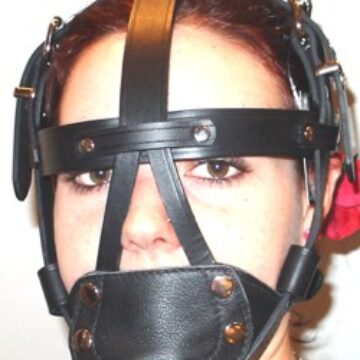 Head Harness with Locking Buckle and Removable Mouth Plate