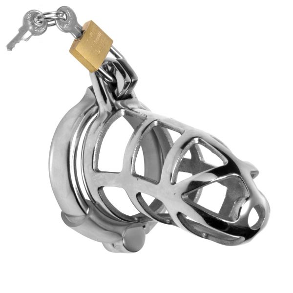 MASTER SERIES Detained Stainless Steel Chastity Cage