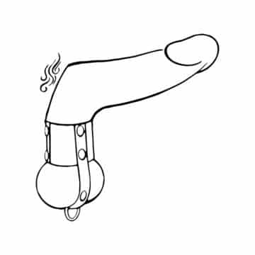 Stretcher Divider with D Ring