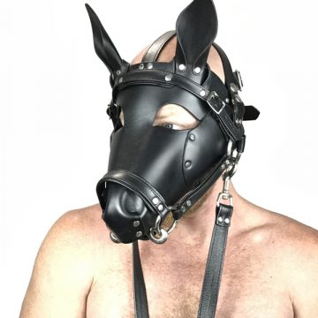 Horse Head Harness