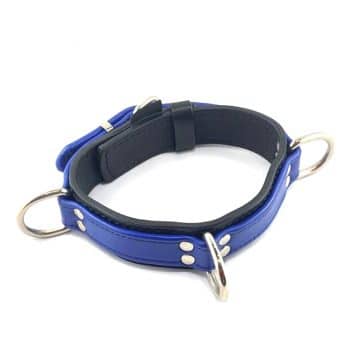 Collar Duo Leather 3 D Ring Blue BDSM Restraint Pup