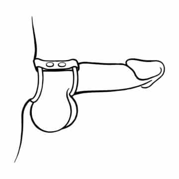 H Line Cock Strap with Rings