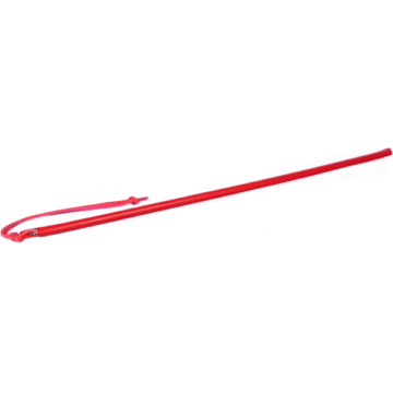 Leather Wrapped Cane - Red