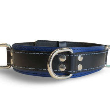 3 D-Ring Collar Belt Leather (Blue)