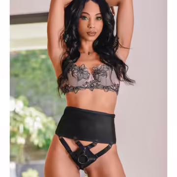 High Waisted Corset Strap On