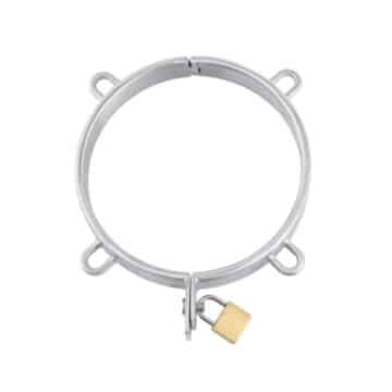 Metal Collar with 4 D Rings