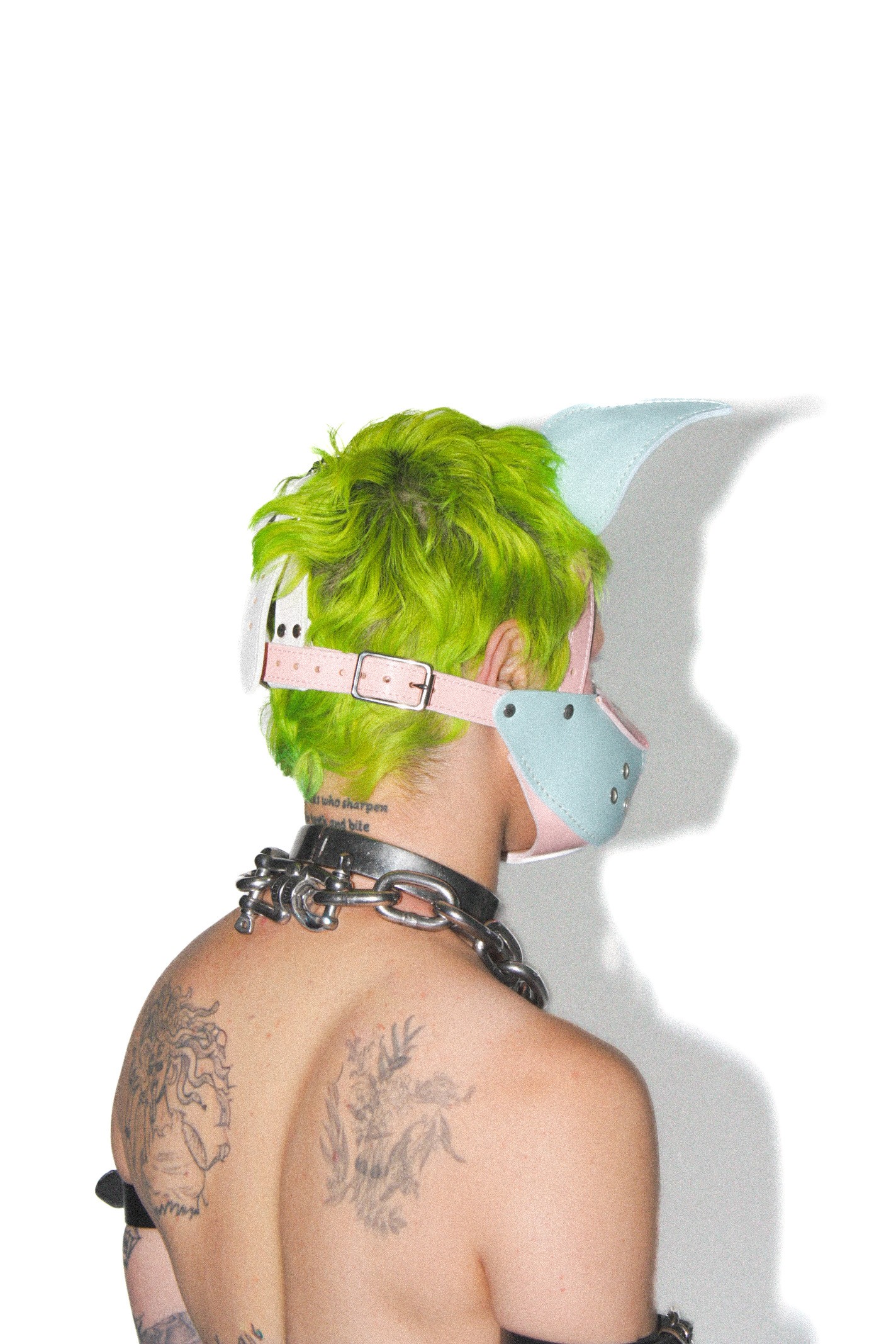 Trans Pride Mutt Muzzle Puppy Head Harness - Image 4