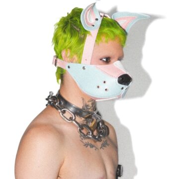 Trans Pride Mutt Muzzle Puppy Head Harness