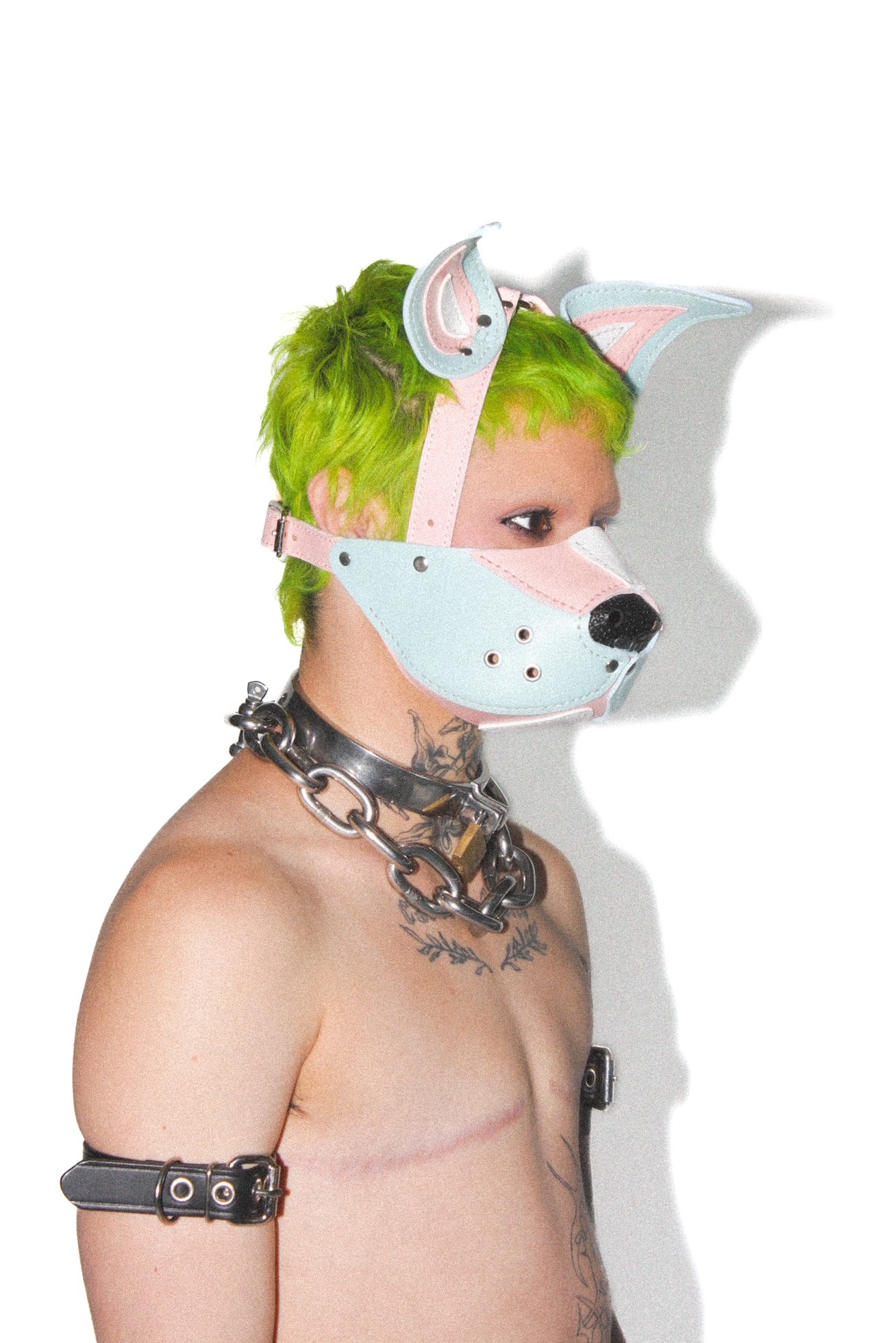 Trans Pride Mutt Muzzle Puppy Head Harness