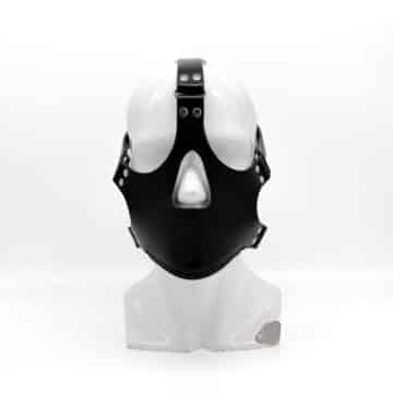 Head harness muzzle