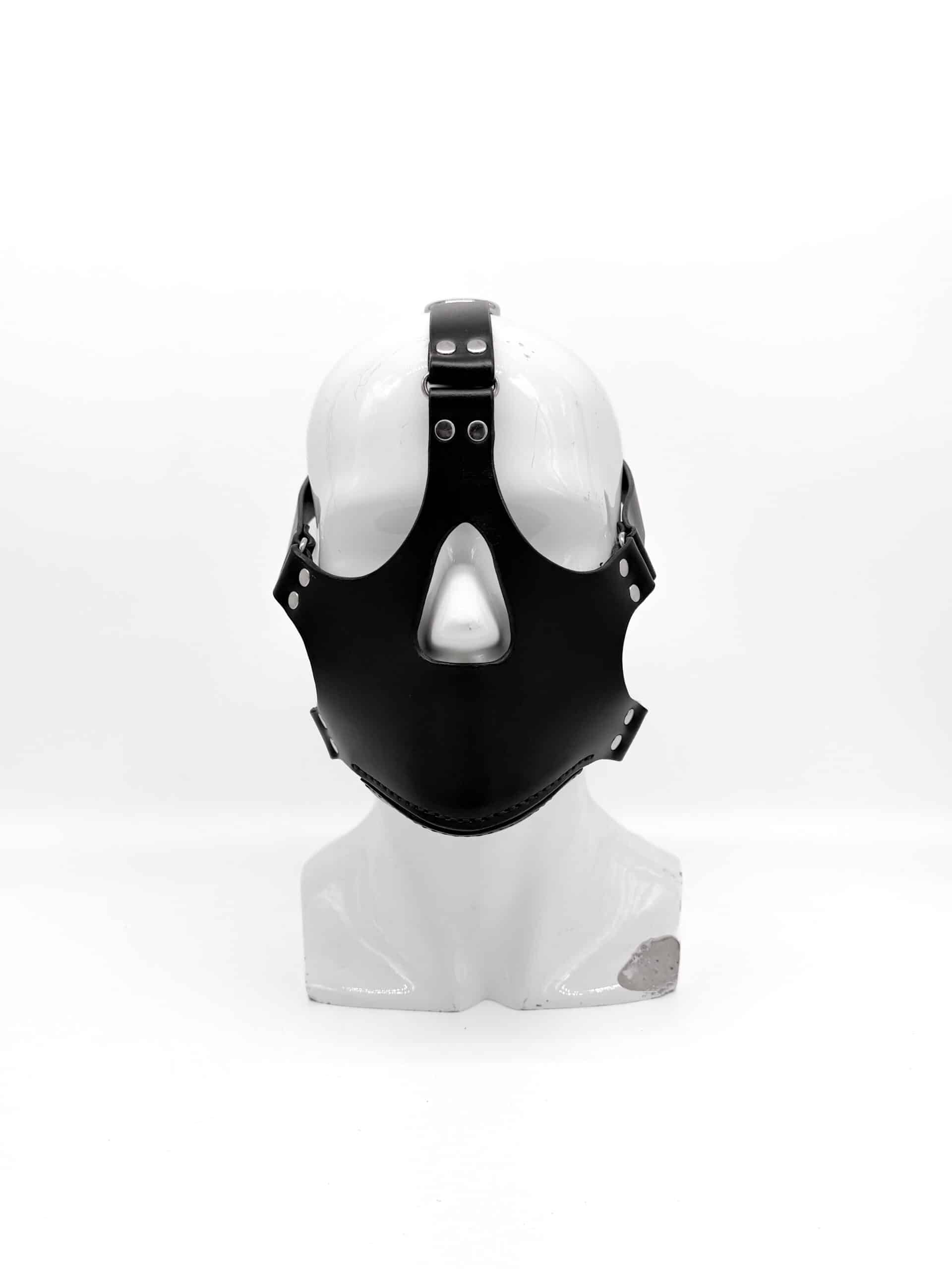 Head harness muzzle